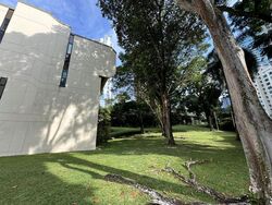 The Draycott (D10), Apartment #509179971